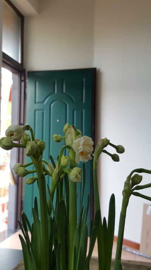 Apartament Il Giardino Sul Corso Scafati Zewnętrze zdjęcie