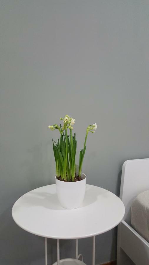 Apartament Il Giardino Sul Corso Scafati Zewnętrze zdjęcie
